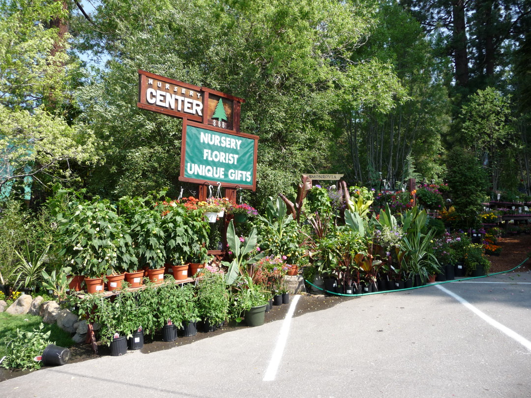 Historical and Environmental Facts | High Sierra Gardens